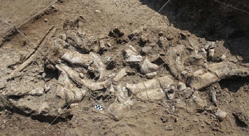 Las herramientas de piedra más antiguas jamás encontradas podrían ser anteriores al ser humano, según estudio