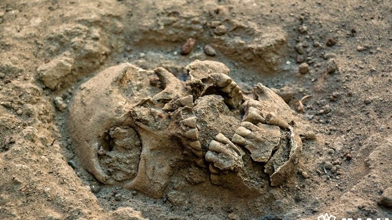 Un cementerio del virreinato es descubierto en el Bosque de Chapultepec