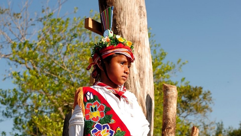 El decenio 2022-2032 como una oportunidad impostergable para el reflorecimiento de las lenguas indígenas de México