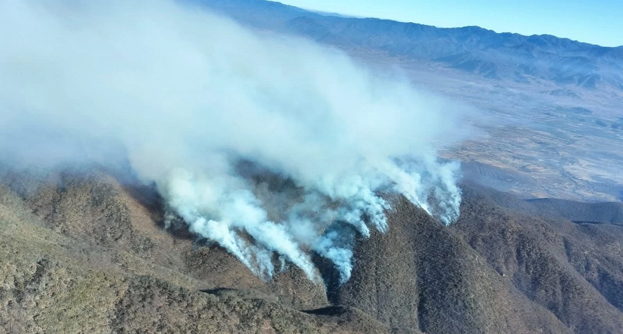 Gobierno de Oaxaca despliega acciones tras tragedia por incendio forestal en San Lucas Quiaviní