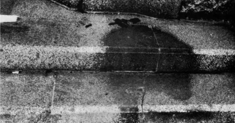 Las sombras de Hiroshima y la ciencia detrás del blanqueamiento