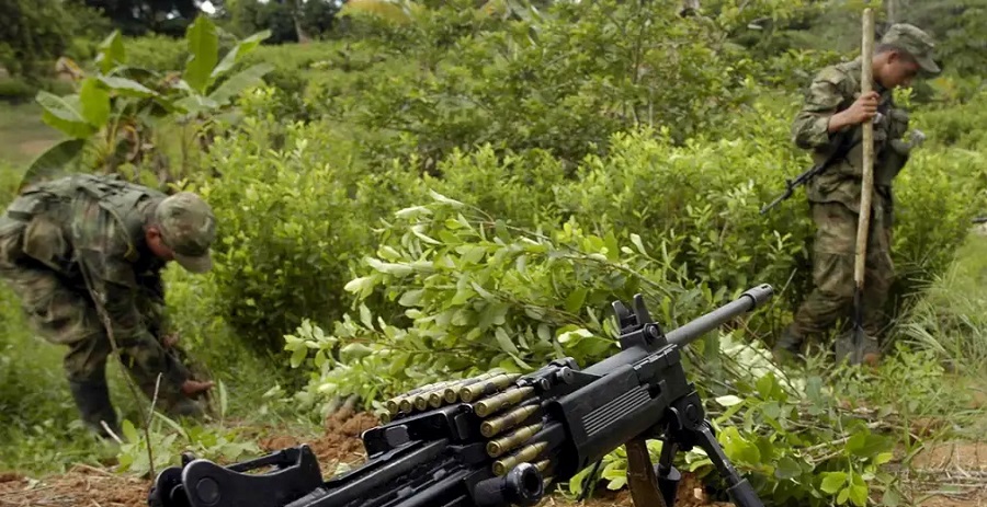 Ecuador destruye plantación de coca cerca de la frontera con Colombia