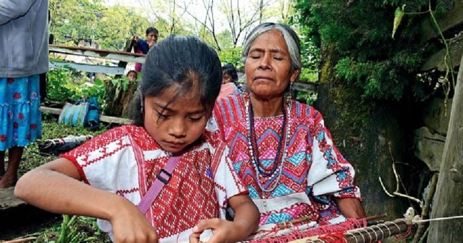 Incertidumbre legal: indígenas sudamericanos enfrentan dilema por ayahuasca en México