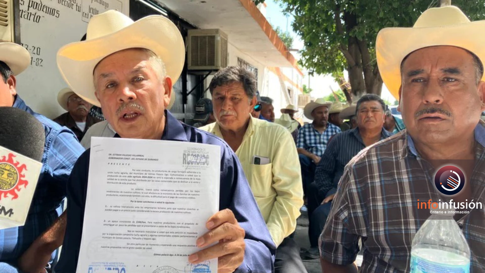 Productores de sorgo forrajero en la Laguna con pérdidas debido a semilla de mala calidad