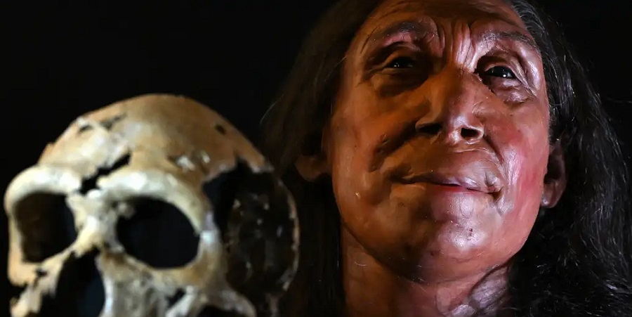 Reconstruyen rostro de mujer neandertal que vivió hace 75.000 años