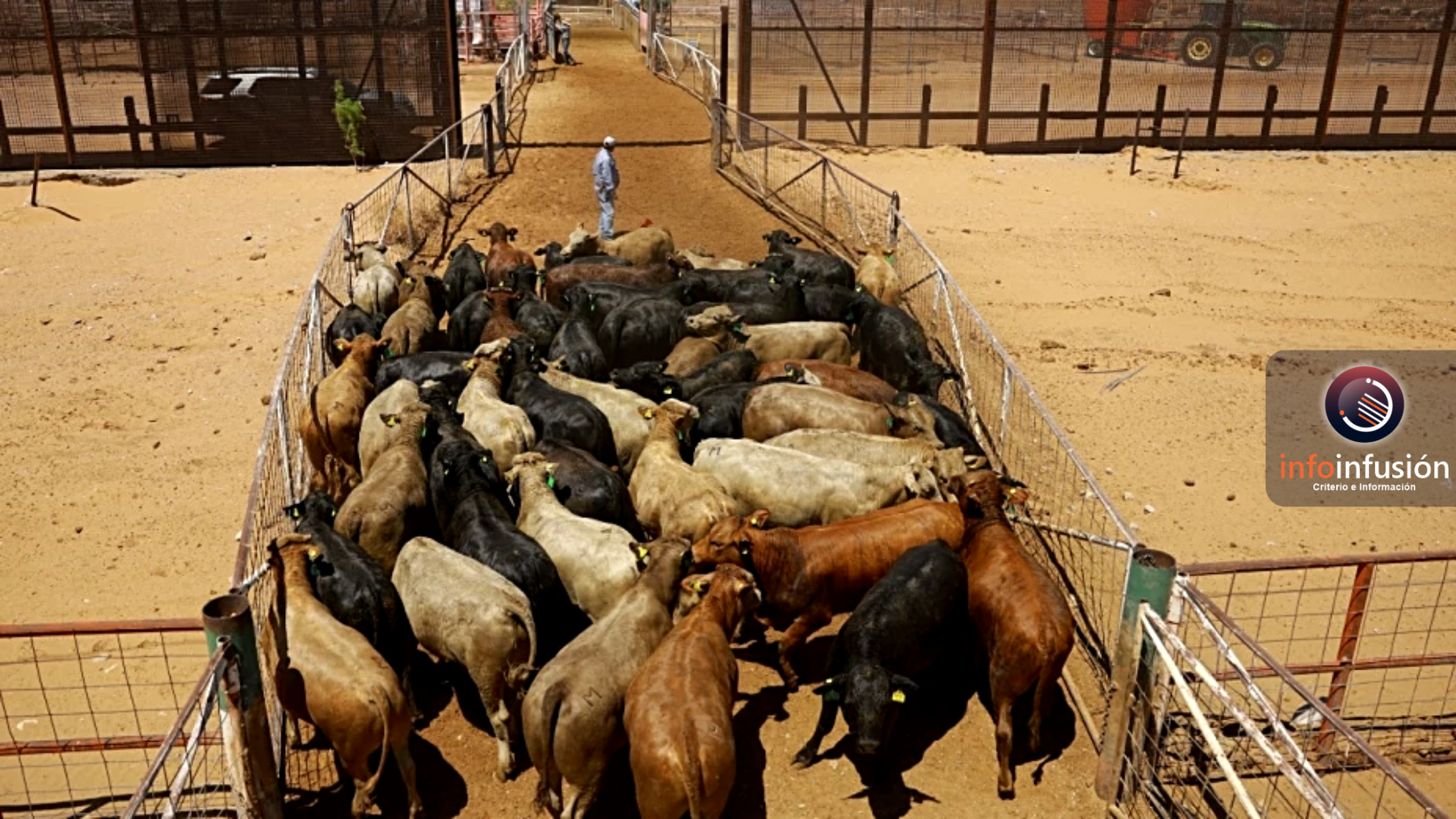 Cierra Estados Unidos su frontera al ganado mexicano