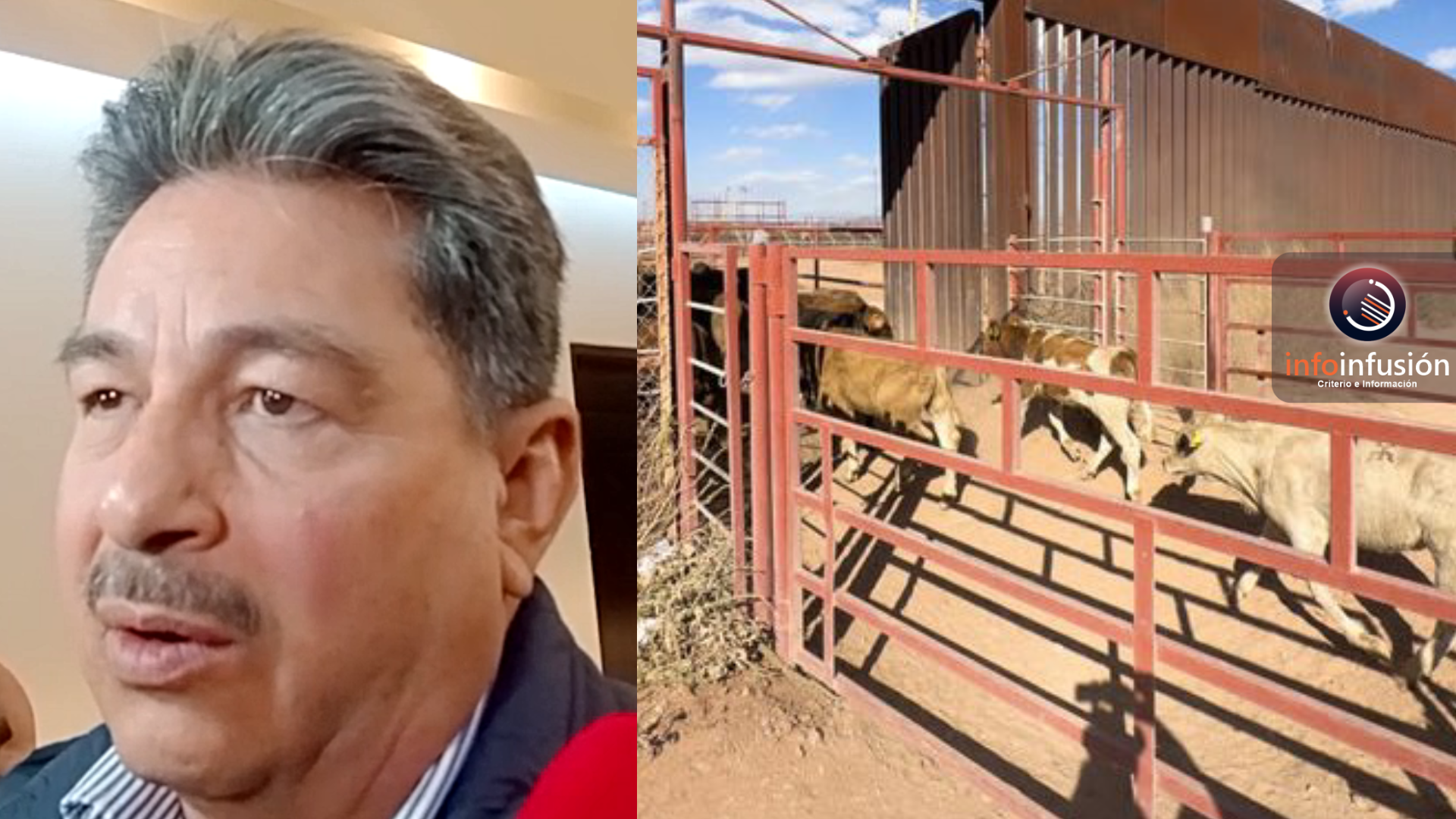 Cierre de frontera al ganado mexicano deja 11.4 millones de dólares en pérdidas al día