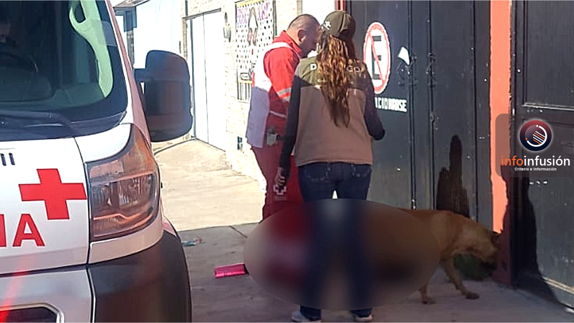 Perrito cuida cuerpo de su dueño tras fallecer en la calle