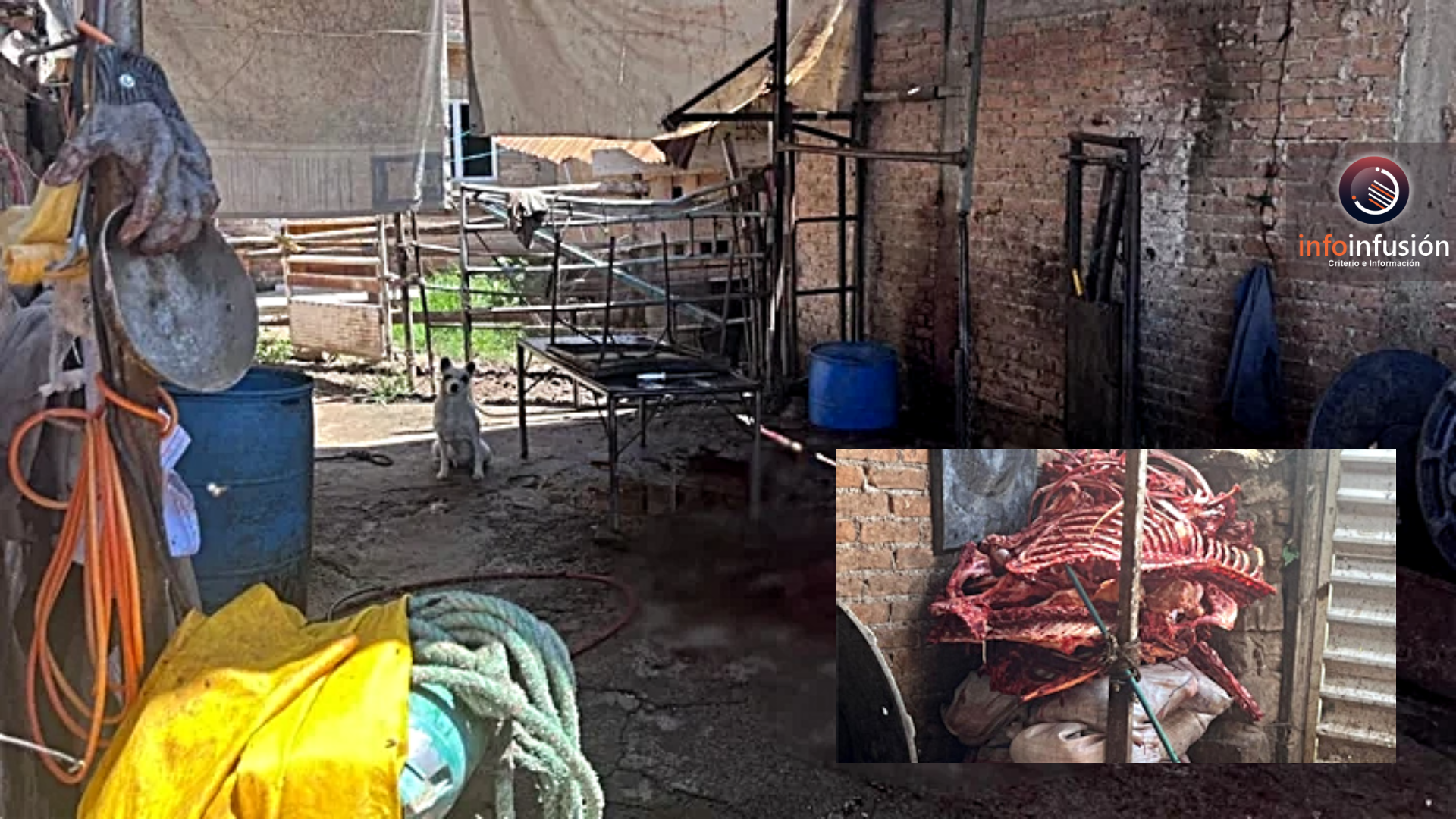 Autoridades sanitarias detectan rastro clandestino