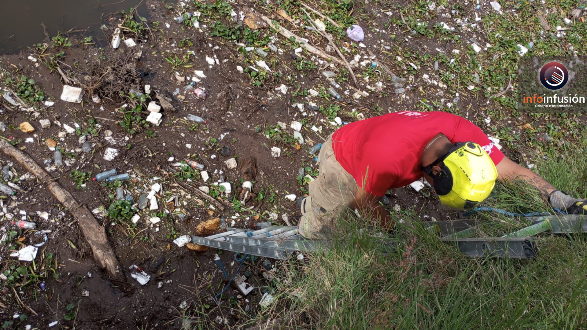 Rescatan perrito atrapado en “Arroyo Seco”