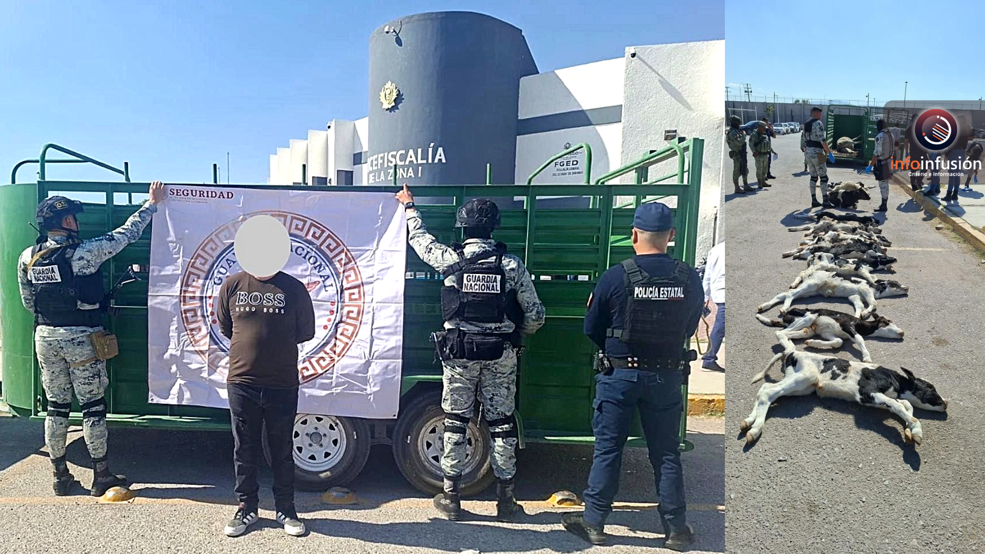 Un detenido en Lerdo por transportar ganado sin acreditar propiedad